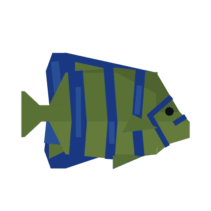 Angelfish