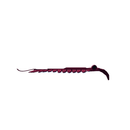 Anomalocaris