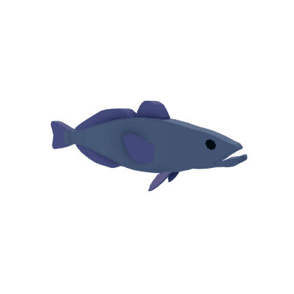 Antarctic Icefish