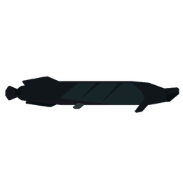 Arapaima