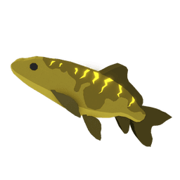 Arcflash Koi