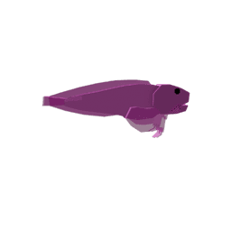 Argosgeorgiae Snailfish