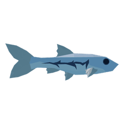 Ashscale Minnow