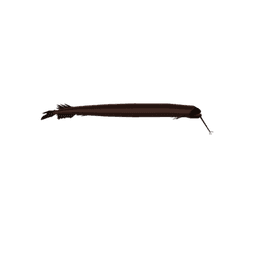 Atlantic Dragonfish