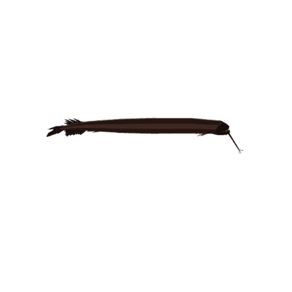 Atlantic Dragonfish
