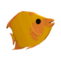 Auric Angelfish