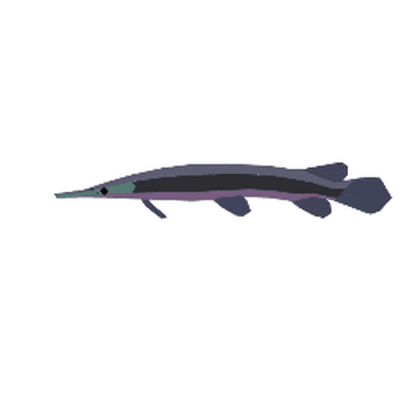 Aurora Gar