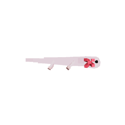 Axolotl