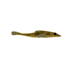 Banded Dragonfish