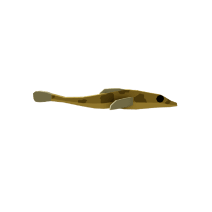 Banded Dragonfish