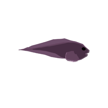 Banded Snailfish