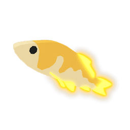 Beamtail Koi