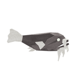 Bearded Toadfish
