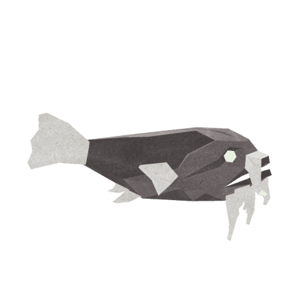 Bearded Toadfish