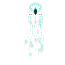 Bigfin Squid