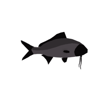 Black-mouth Beardfish