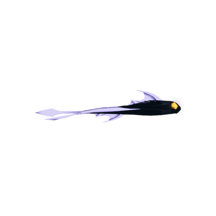 Black Veil Ray