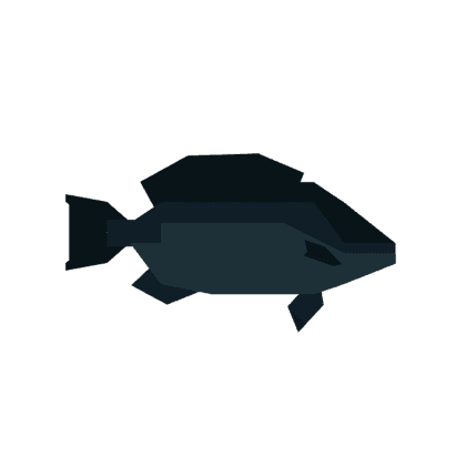 Blackfish