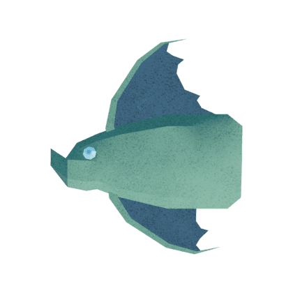 Blisterfish