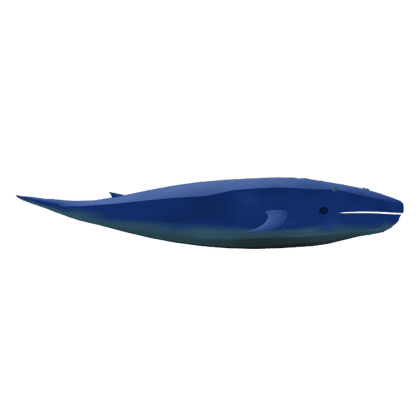 Blue Whale