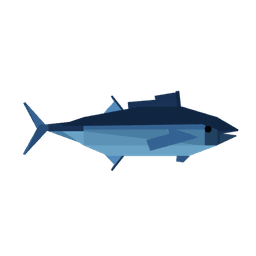 Bluefin Tuna