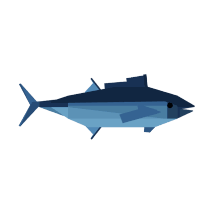 Bluefin Tuna