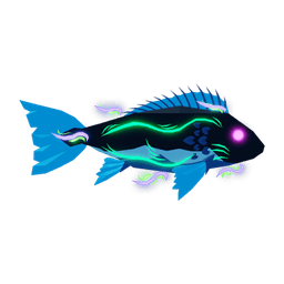 Borealis Snapper
