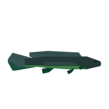 Bowfin
