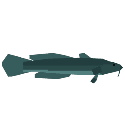 Burbot