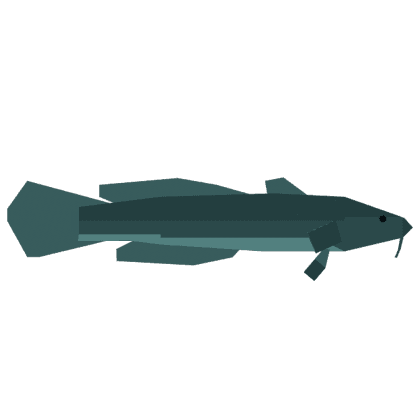 Burbot