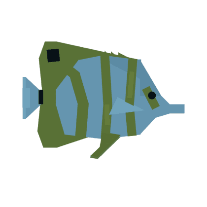 Butterflyfish