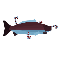 Candy Cane Carp