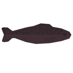 Candy Fish