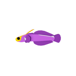 Canopy Dartfish