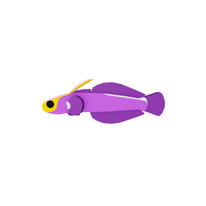 Canopy Dartfish