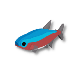 Cardinal Tetra