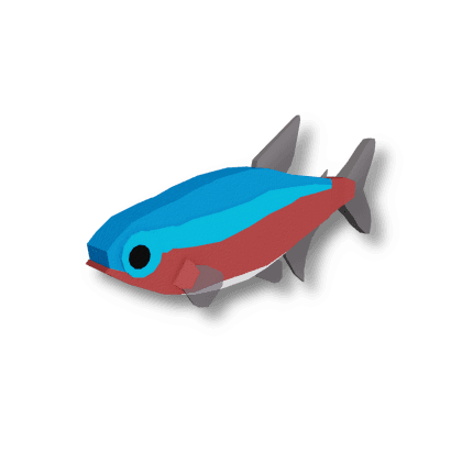Cardinal Tetra