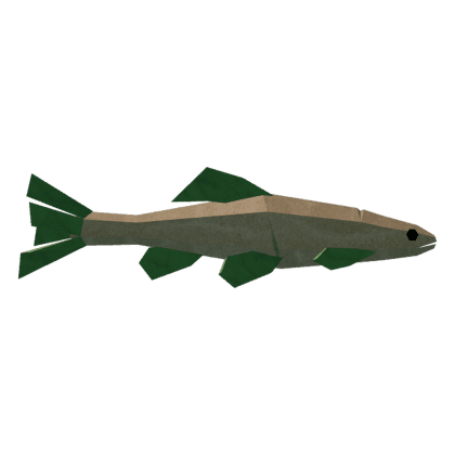 Carrot Minnow