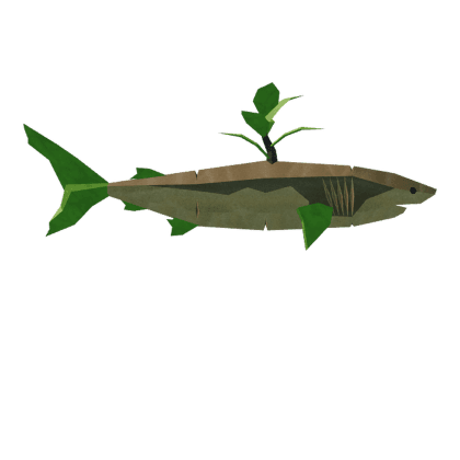 Carrot Shark