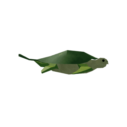Carrot Turtle