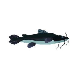 Catfish