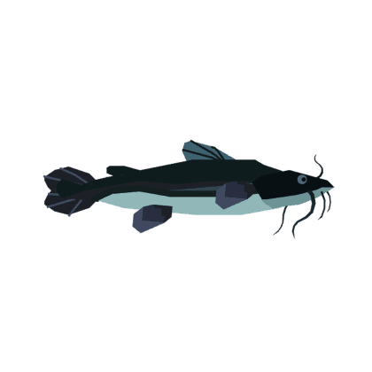 Catfish