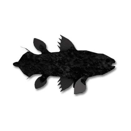 Charred Coelacanth