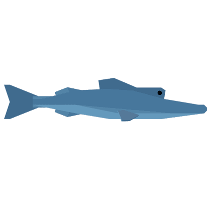 Chinfish