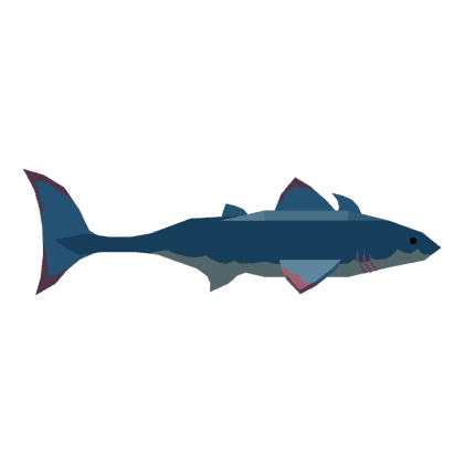 Cladoselache