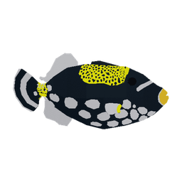 Clowned Triggerfish