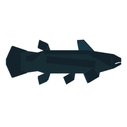 Coelacanth