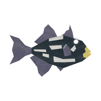 Coin Triggerfish
