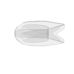 Comb Jelly