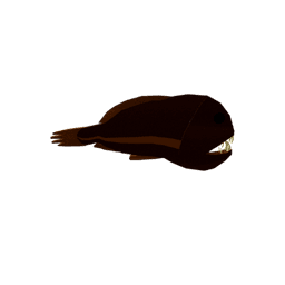 Common Fangtooth